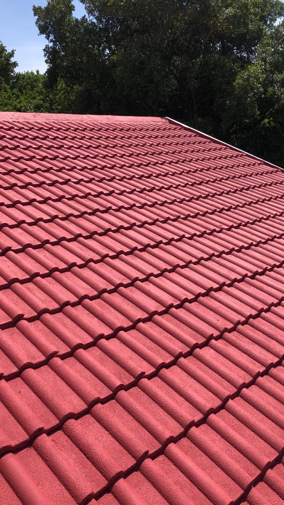 PHOTO-2023-03-03-14-41-59 3